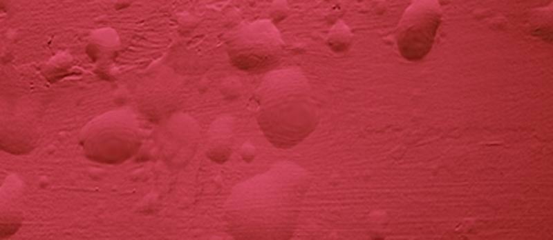 osmosis-seasurveys-yacht-surevys